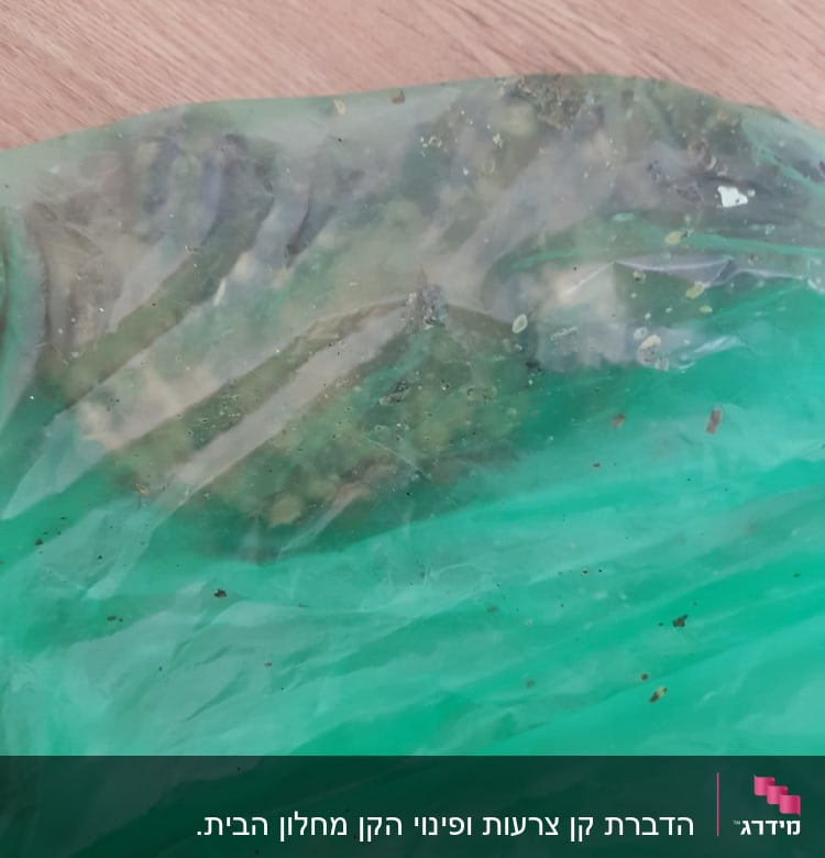 שקית ירוקה עם חרקים מתים בפנים